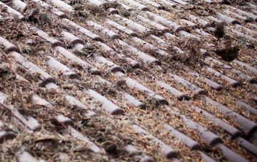 New Houghton roof cleaning companies