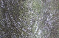 New Houghton fibreglass roof work